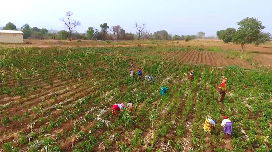 The sustainable futures of Senegalese drylands