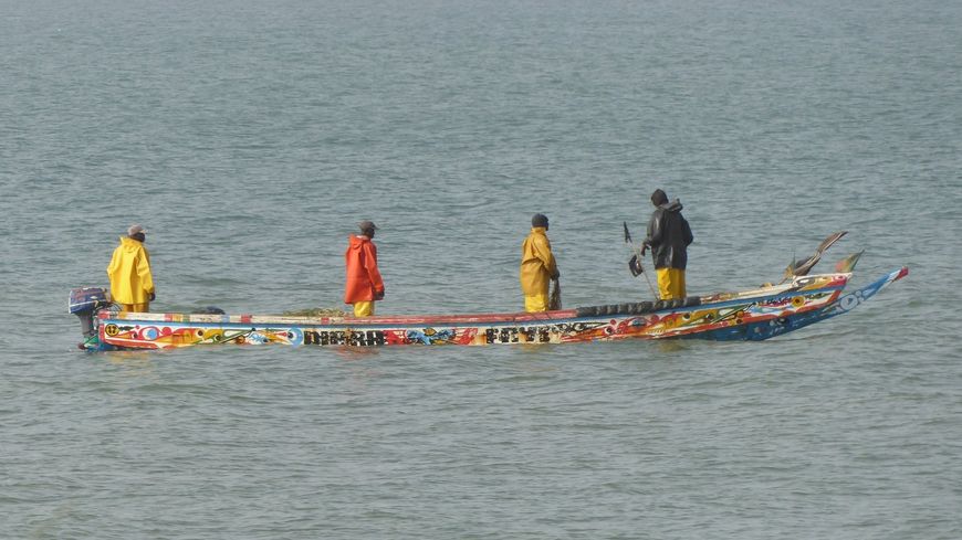 The sustainable futures of Senegalese drylands