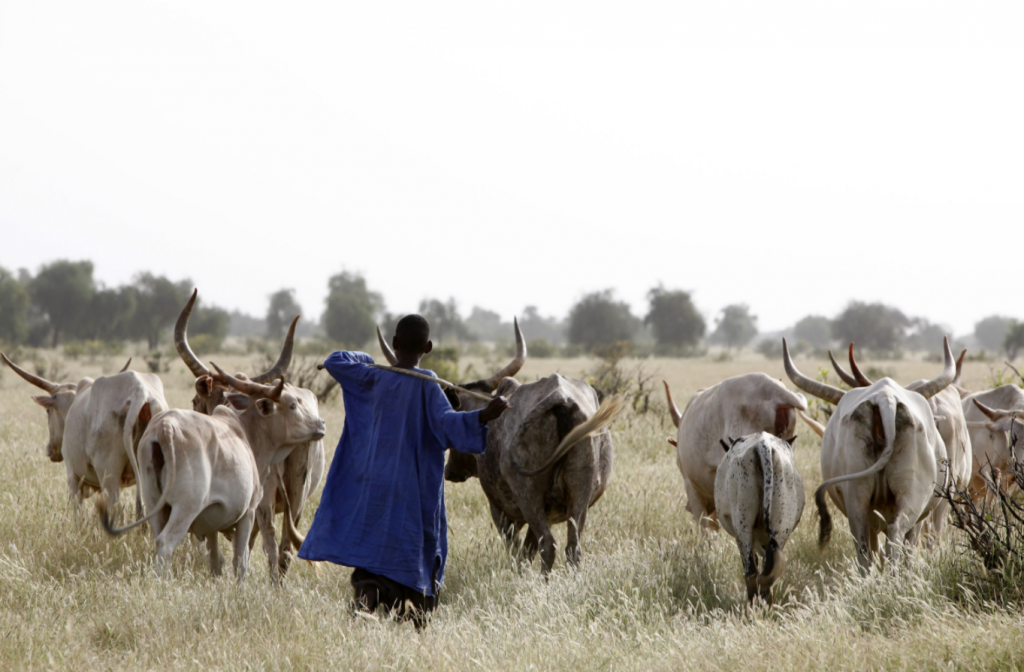 The sustainable futures of Senegalese drylands